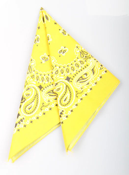 Hav A Hank Bandana - Image 3