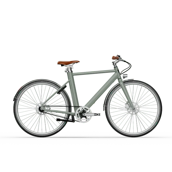 Voltaire E-Bike Legendre - Image 11