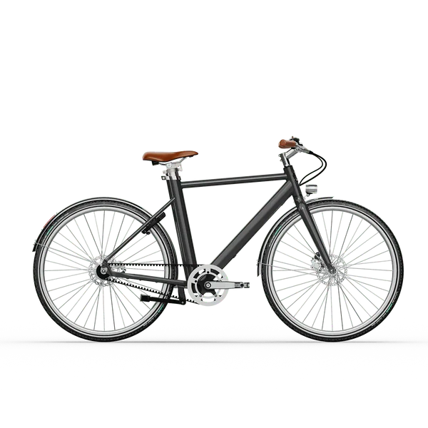 Voltaire E-Bike Legendre - Image 7